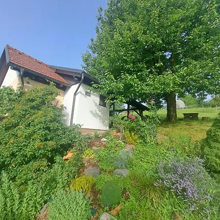 Hiska Janko In Metka Ptuj